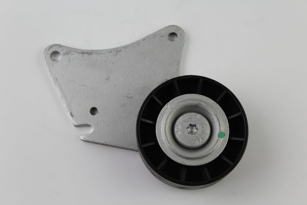 Galet enrouleur de courroie INA 532 0126 10  pour Citroen Berlingo Xantia ZX....